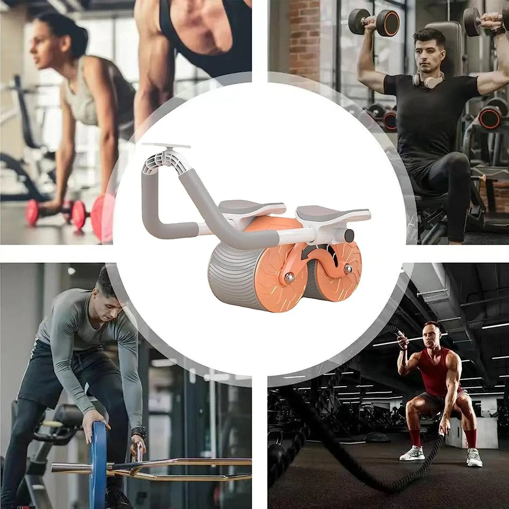 gid://shopify/MediaImage/30333508911204