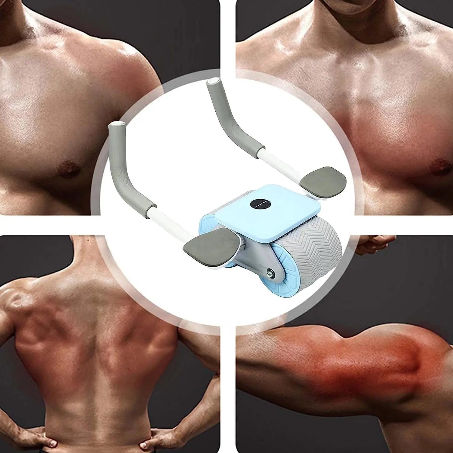 gid://shopify/MediaImage/30333508878436