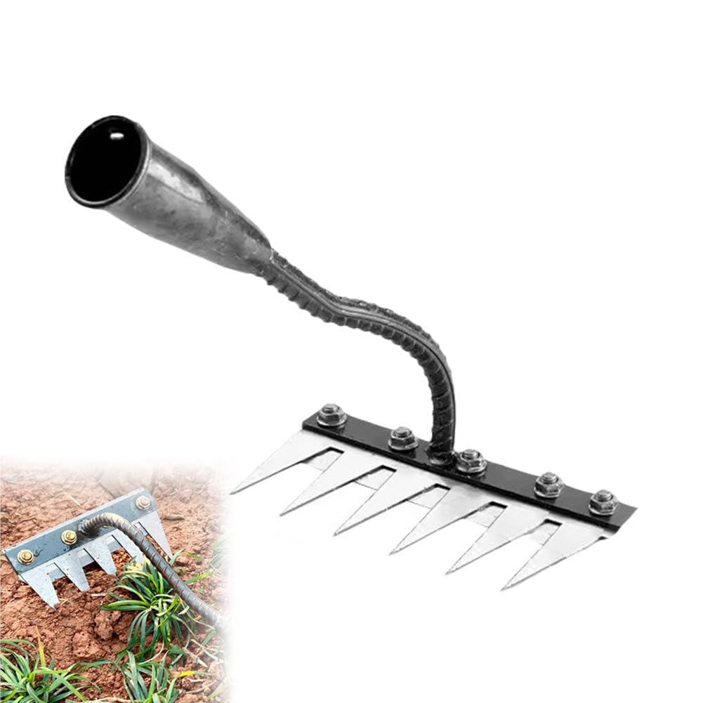 gid://shopify/MediaImage/30333515366500