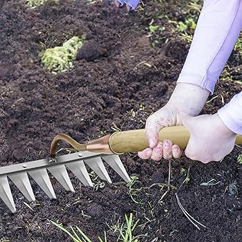 gid://shopify/MediaImage/30333515268196